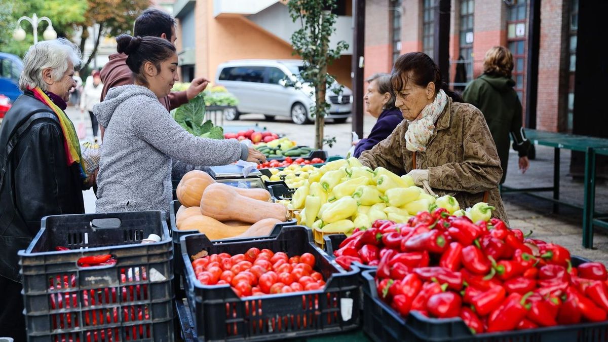 Ennyibe kerül, ha friss zöldségekből készítjük el a lecsót Fotó: Huszár Márk