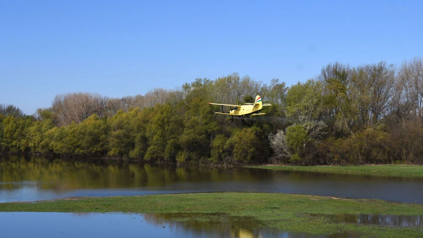 Illusztráció. Fotó: Mészáros János