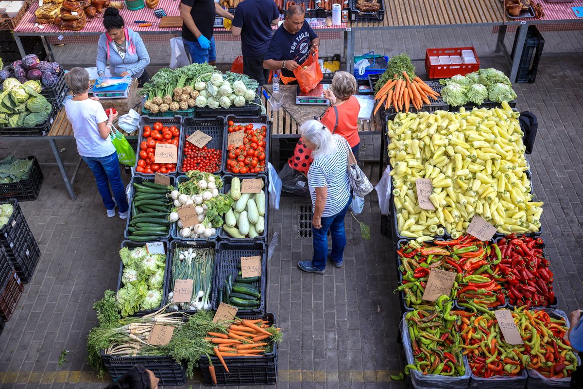 A kínálattal nem volt baj, csupán az árak magasabbak a megfizethetőnél Fotó: Mártonfai Dénes