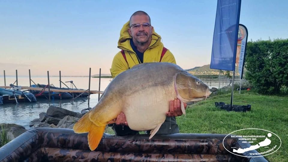 21 kilós volt a reggeli fogás Fotó: Balatoni Hal