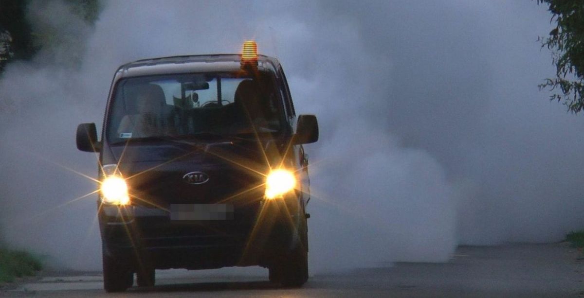 Jövő héten kezdődik a szúnyoggyérítés Szekszárdon Forrás: Facebook