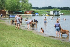 Sokan választják a nyaralásuk helyszínéül a Tisza-tavat Forrás: Ujvári László/szoljon.hu