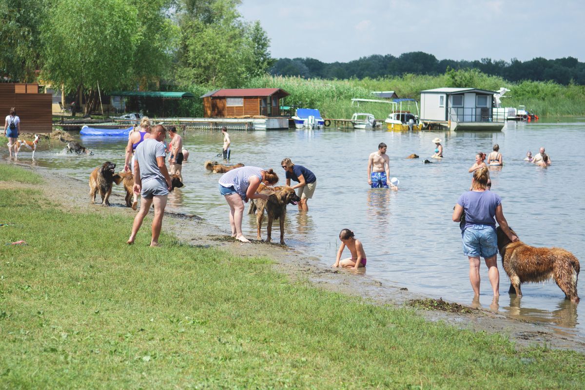 Sokan választják a nyaralásuk helyszínéül a Tisza-tavat Forrás: Ujvári László/szoljon.hu