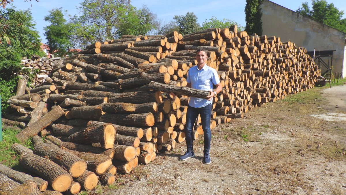 Szociális tűzifa érkezik majd a településkre Fotó: Arany Gábor
