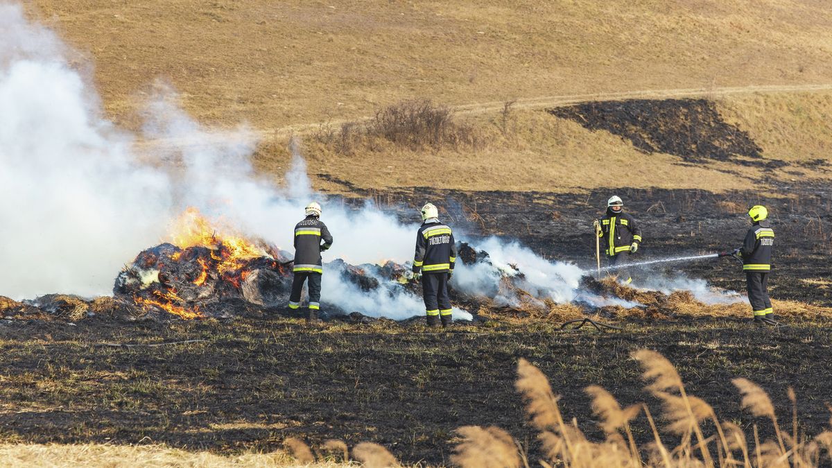 Már több megyében érvénybe lépett a tűzgyújtási tilalom, lehet, hogy Heves a következő Fotó: Vendel Lajos / Forrás: MW