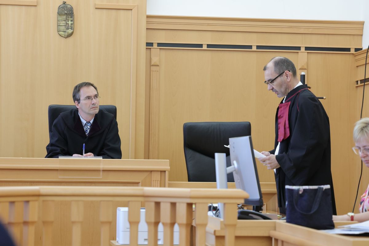 Az ügyészség két rendbeli hivatali vesztegetés bűntettével vádolta a nőt Fotó: Makovics Kornél