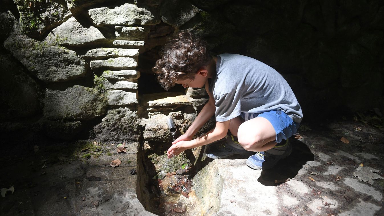 A patakok és vízfolyások a létükért küzdenek