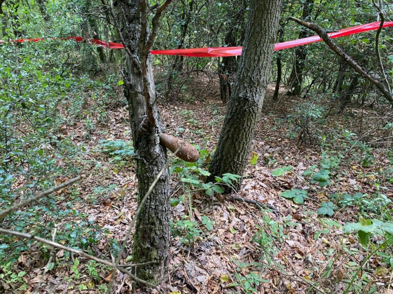 A bomba egy fából áll ki Forrás: Gál Gábor/Heol.hu