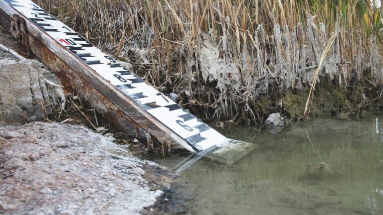 Az elmúlt napok nem kedveztek a Duna vízállásának Fotó: Mártonfai Dénes - archív