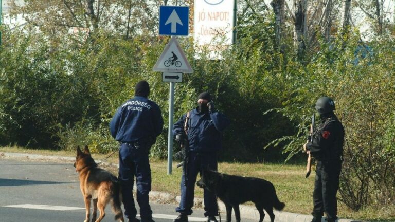 Két eltűnt kamasz ügyében is nyomoz a hatóság. A kép ILLUSZTRÁCIÓ. Forrás: MW