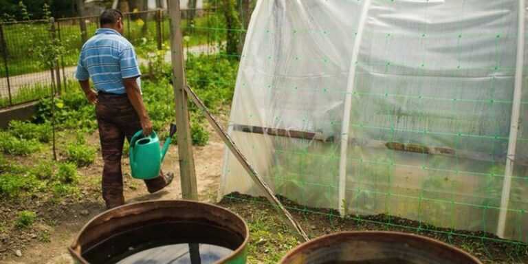 "Manapság minden csepp víz aranyat érhet."