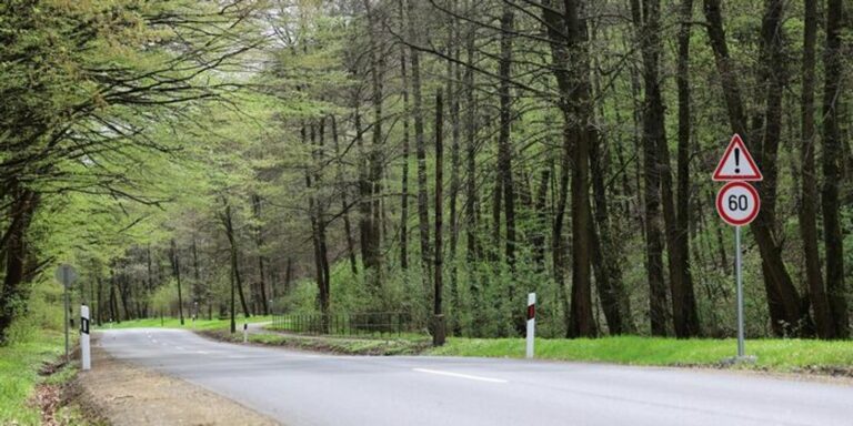 Illusztráció, forrás: Vajda János/Észak-Magyarország