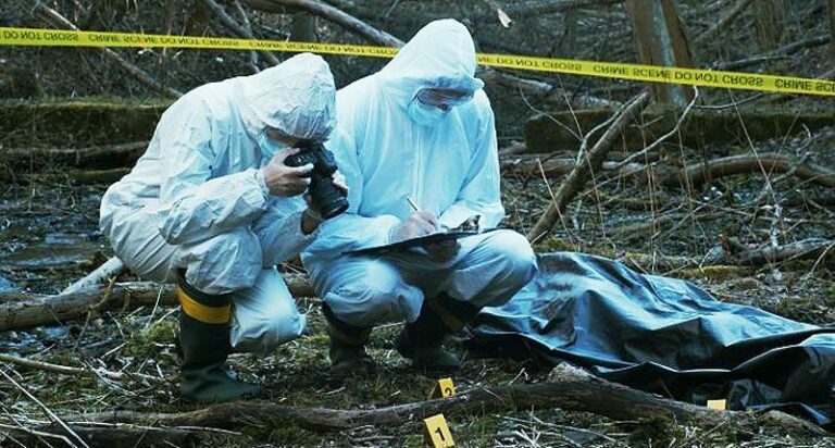 A kép illusztráció.