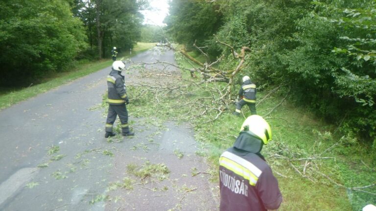 Kidőlt fákkal harcoltak a somogyi tűzoltók - és nyertek