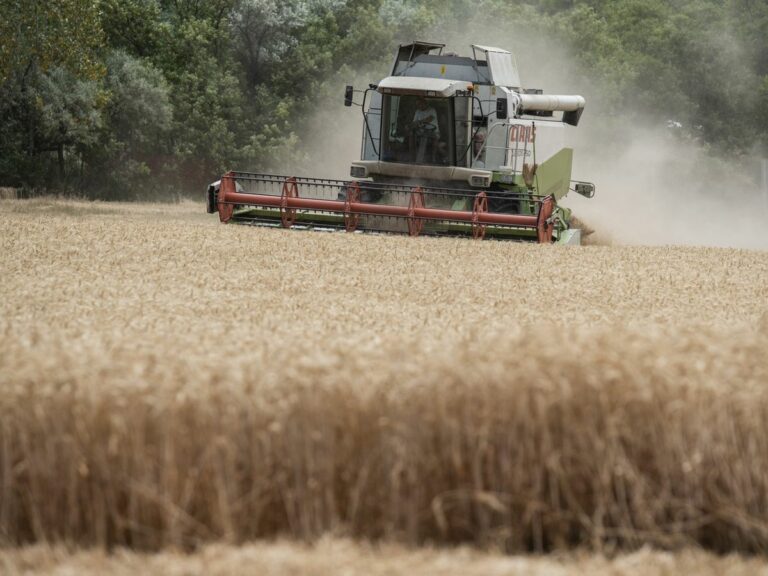 Ez a kombájn nem az a kombájn, vagy mégis? Folytatódik a történet Fotóillusztráció: MW