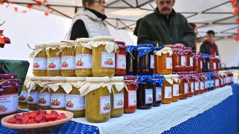 Illusztráció Fotó: Gál Gábor