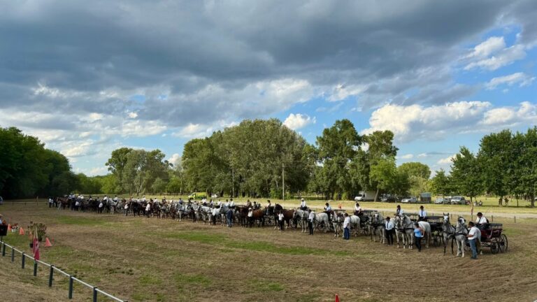 Szép számmal indultak hajtók a paksi fogathajtó versenyen Fotó: Paksi Fogat Sport Egyesület