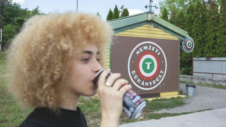 a vármegye egész területén pedig a szezonáliszöldség- és gyümölcskereskedőket ellenőrzik."