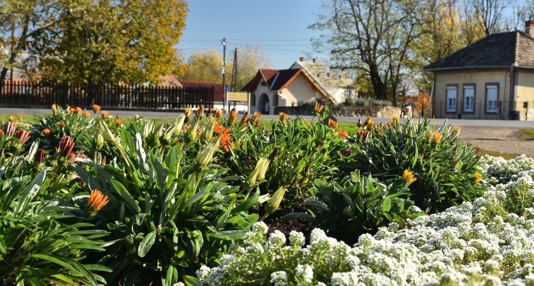 Pély nyugodt hely, ezt szeretnék megőrizni Fotó: Pély Község Önkormányzata Facebook