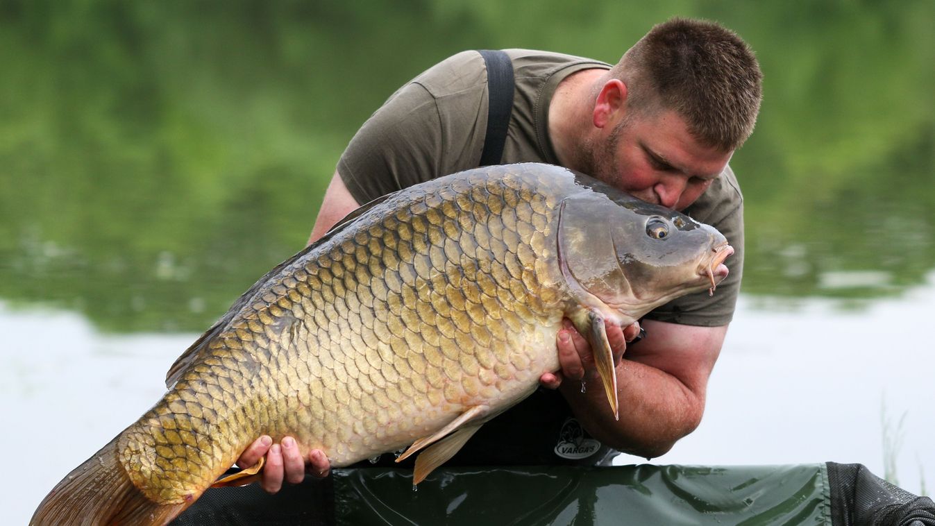 Fotó: Szakony Attila