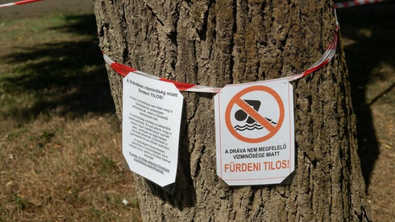 Fotó: ROHRIG DANIEL