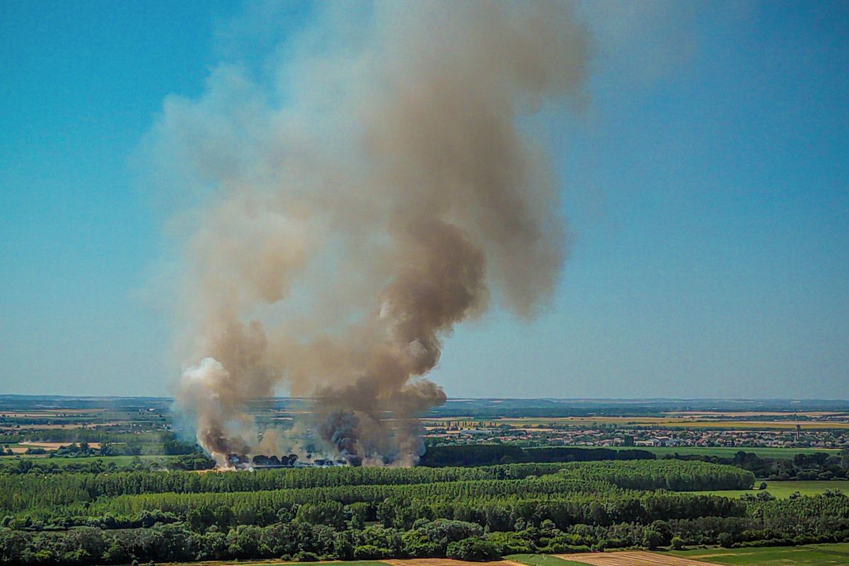 Fotó: Makovics Kornél / Forrás: MW