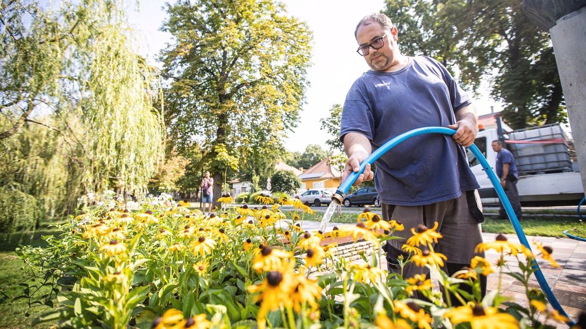 Nyáron is lehet hűsölni okosan, a spórolás nem jelent lemondást, csak tudatosságot Forrás: MW