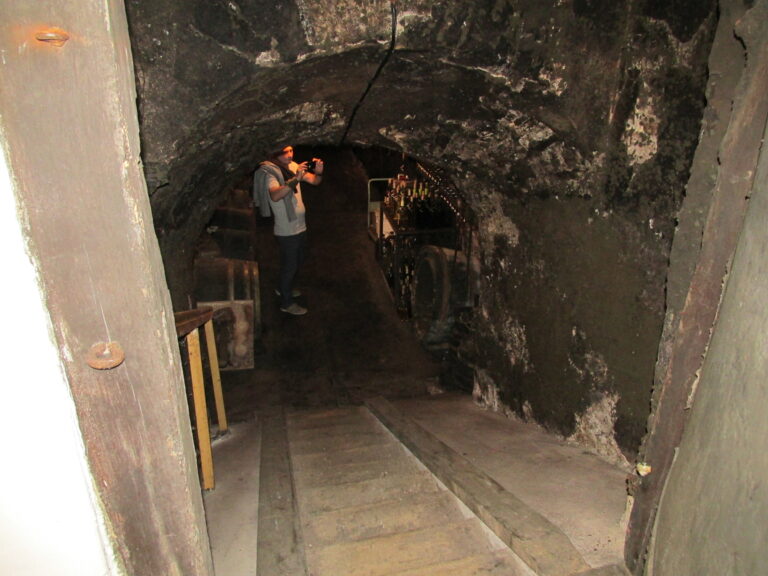 Illusztráció - IKÉ