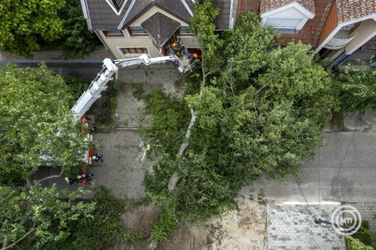 a júliusi viharok miatt egy hét alatt másfél hónapnyi kárbejelentés érkezett
