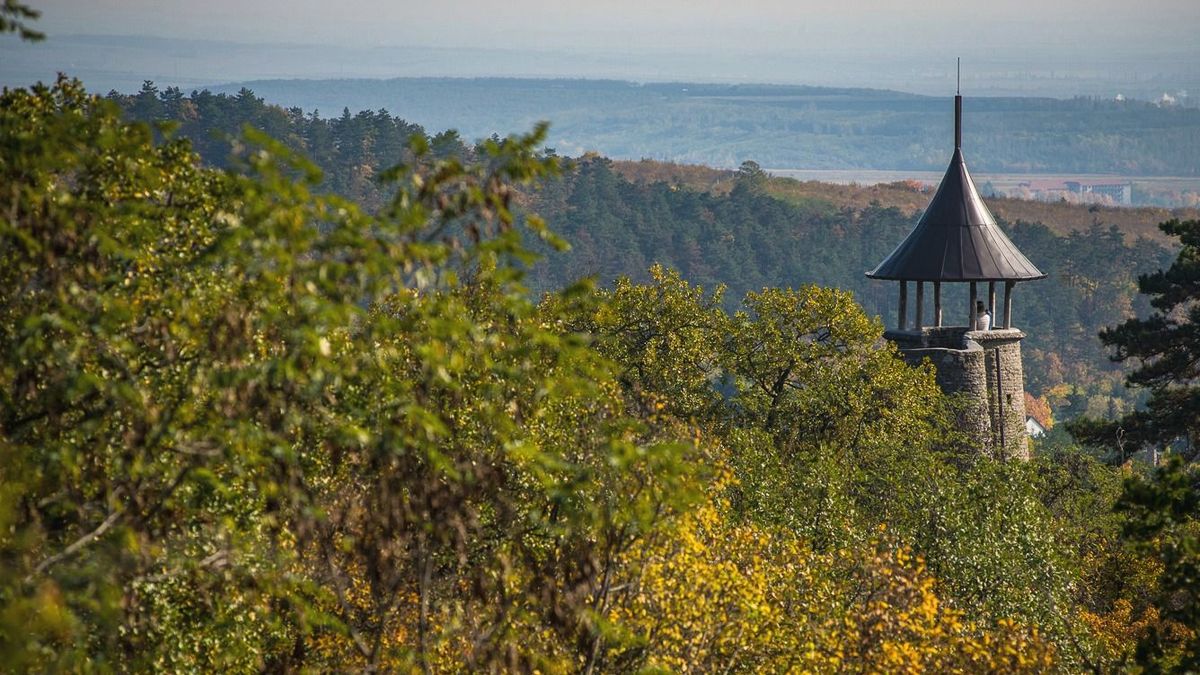 Összegyűjtöttük a bakancslistás helyeket a vármegyében - a Kozmáry-kilátó egy tökéletes úti cél a nyár utolsó hétvégéjére Fotó: Czimer Tamas