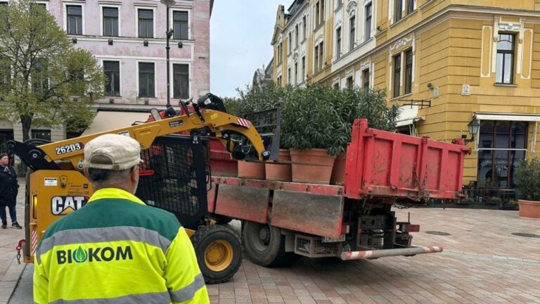 Már kinn is vannak a növények Forrás: Biokom