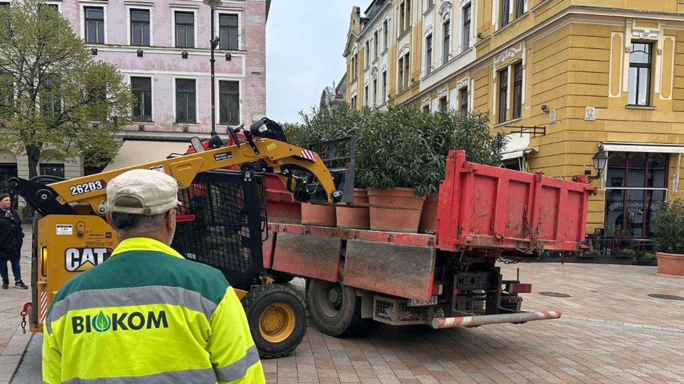 Már kinn is vannak a növények Forrás: Biokom