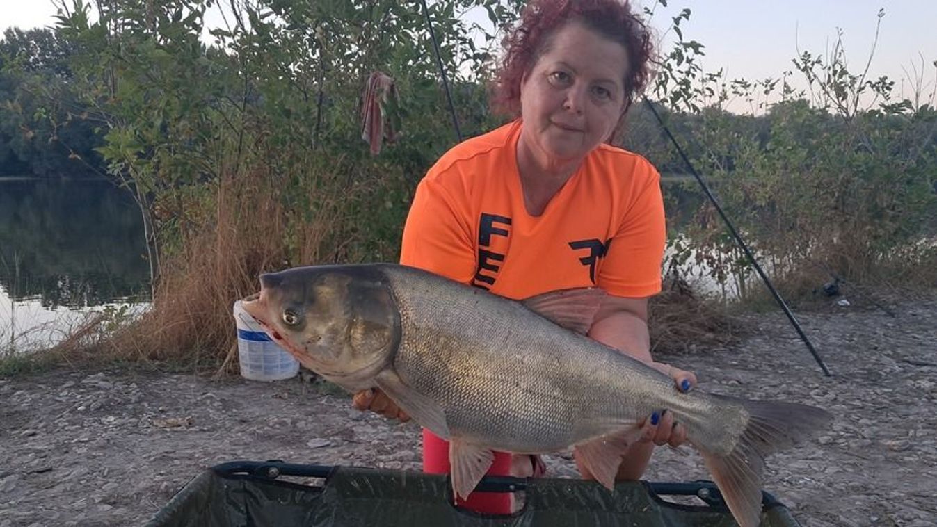 Forrás: Pecaverzum/Kovács Zsuzsanna