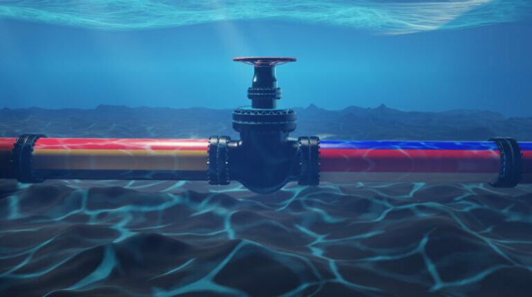 "Ez a 49 éves Szerhij Kuzencov, a különleges erők volt katonája."