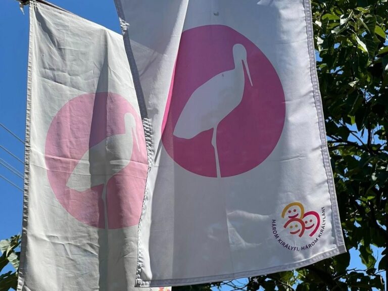 Ikerlányok tiszteletére a nyáron már kétszer lobogott a rózsaszínű babazászló Domoszlón Forrás: Domoszlói Művelődés / Facebook