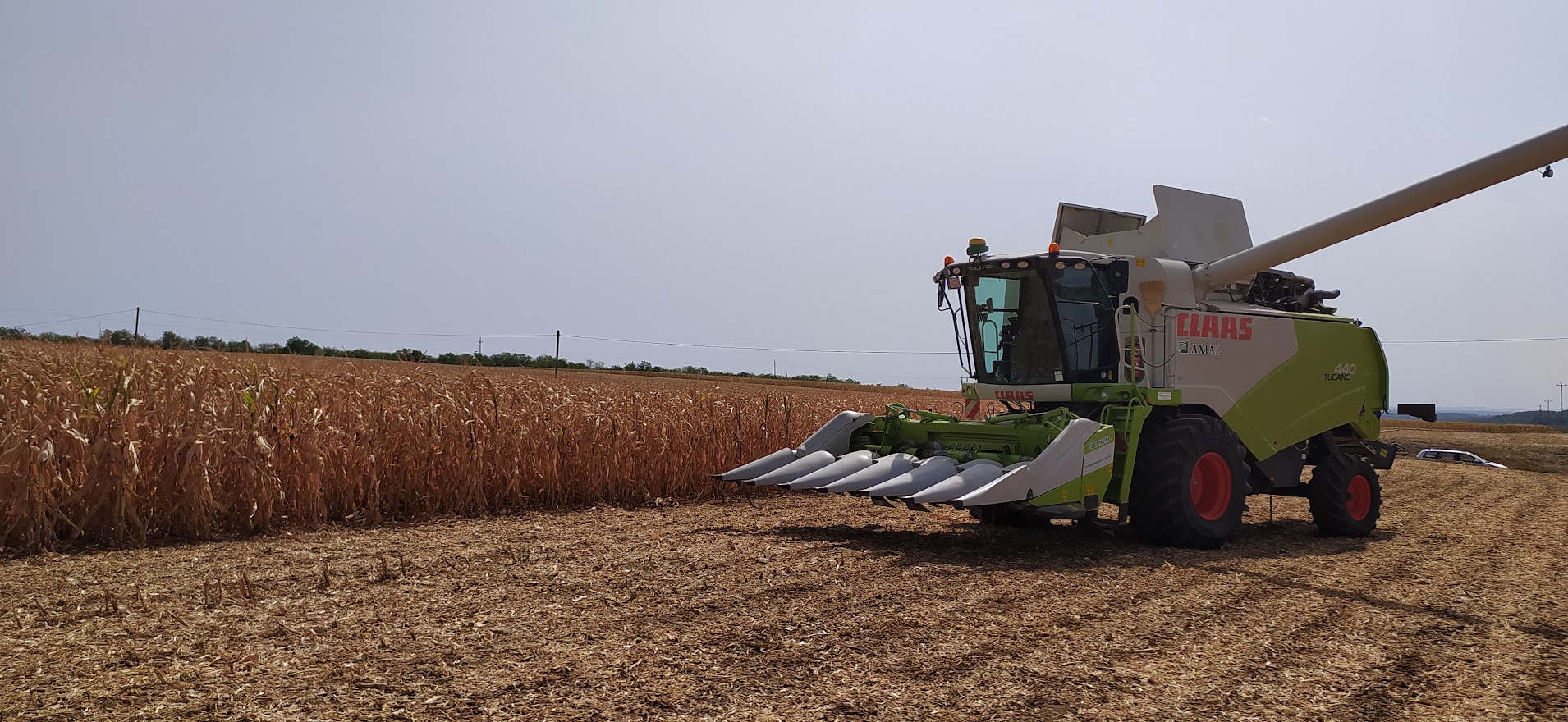 Kukorica fajtabemutató, Somberek, Rittlinger Családi Farm , Fotó - IKÉ