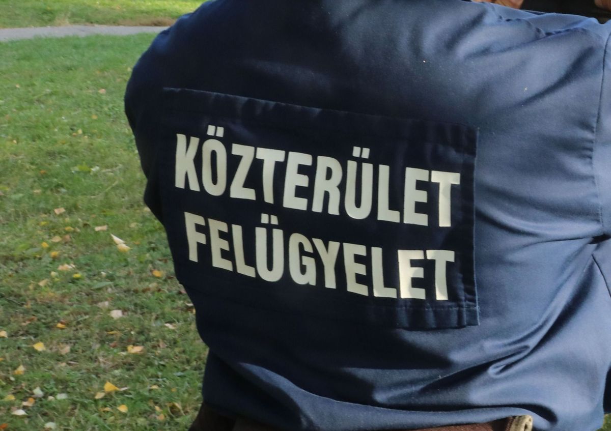 A Pécsi Közterület-Felügyelet fejlesztésére nem sok pénzt adtak - Fotó: Laufer László