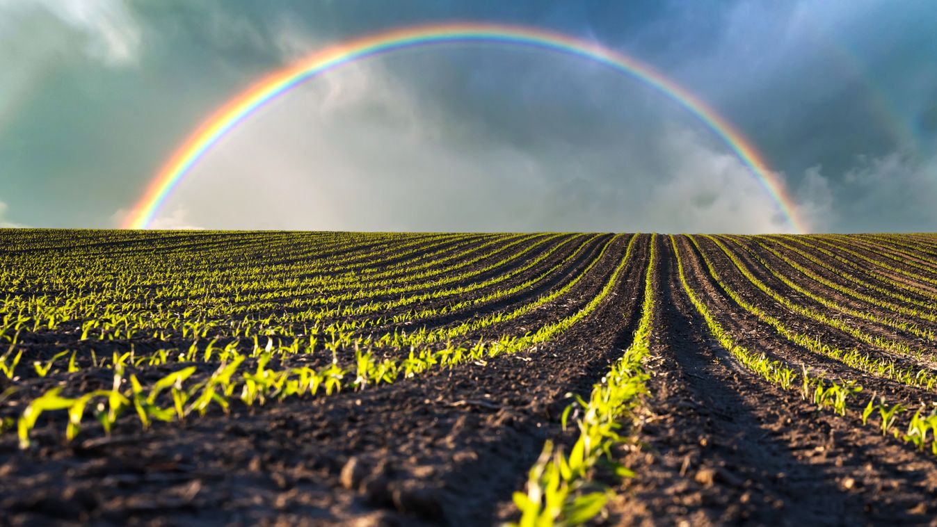 Illusztráció Forrás: Shutterstock Fotó: Smit