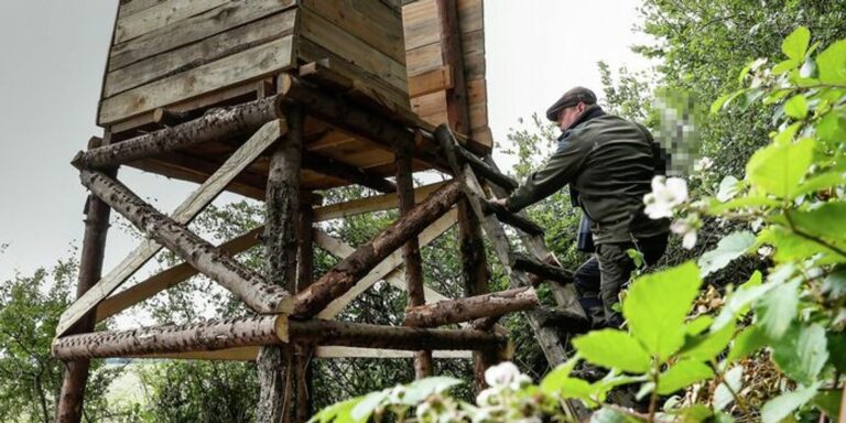 Aki magaslessel találkozik, annak nem árt tudni: nem használhatja kedve szerint senki ezeket az alkalmatosságokat.