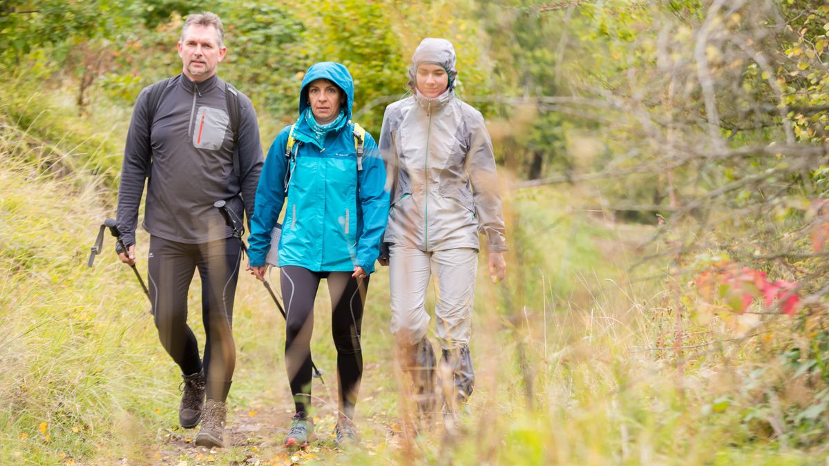 Az Őszi Mátra Teljesítménytúra családok, baráti társaságok programja is lehet Fotó: TIROLzOltanPHOTO / Forrás: Hanák Kolos Turistaegyesület