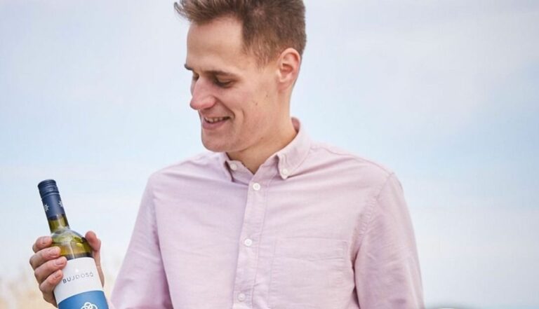 Idén zamatos, jó savtartalmú borokra számítunk, köszönhetően a hűvösebb éjszakáknak. Fotó: Koszorus Rita / Forrás: sonline.hu