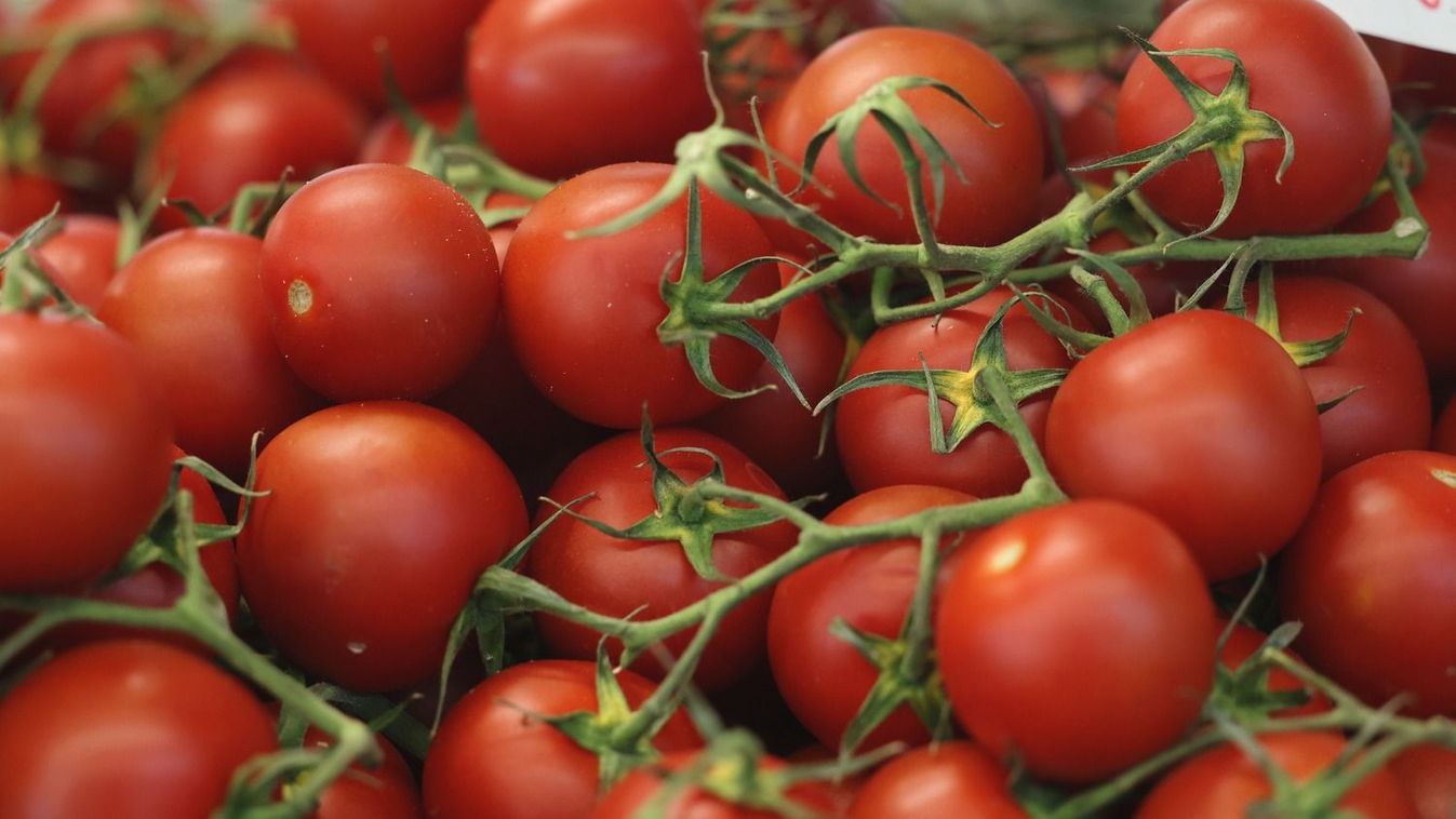 Egyedi ételek készítéséhez helyszínt biztosítanak, azonban előzetes regisztráció szükséges.