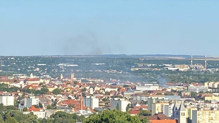 "...a Rákóczi úton tuják és füves terület égett. A pécsi hivatásos tűzoltók hamar eloltották..."