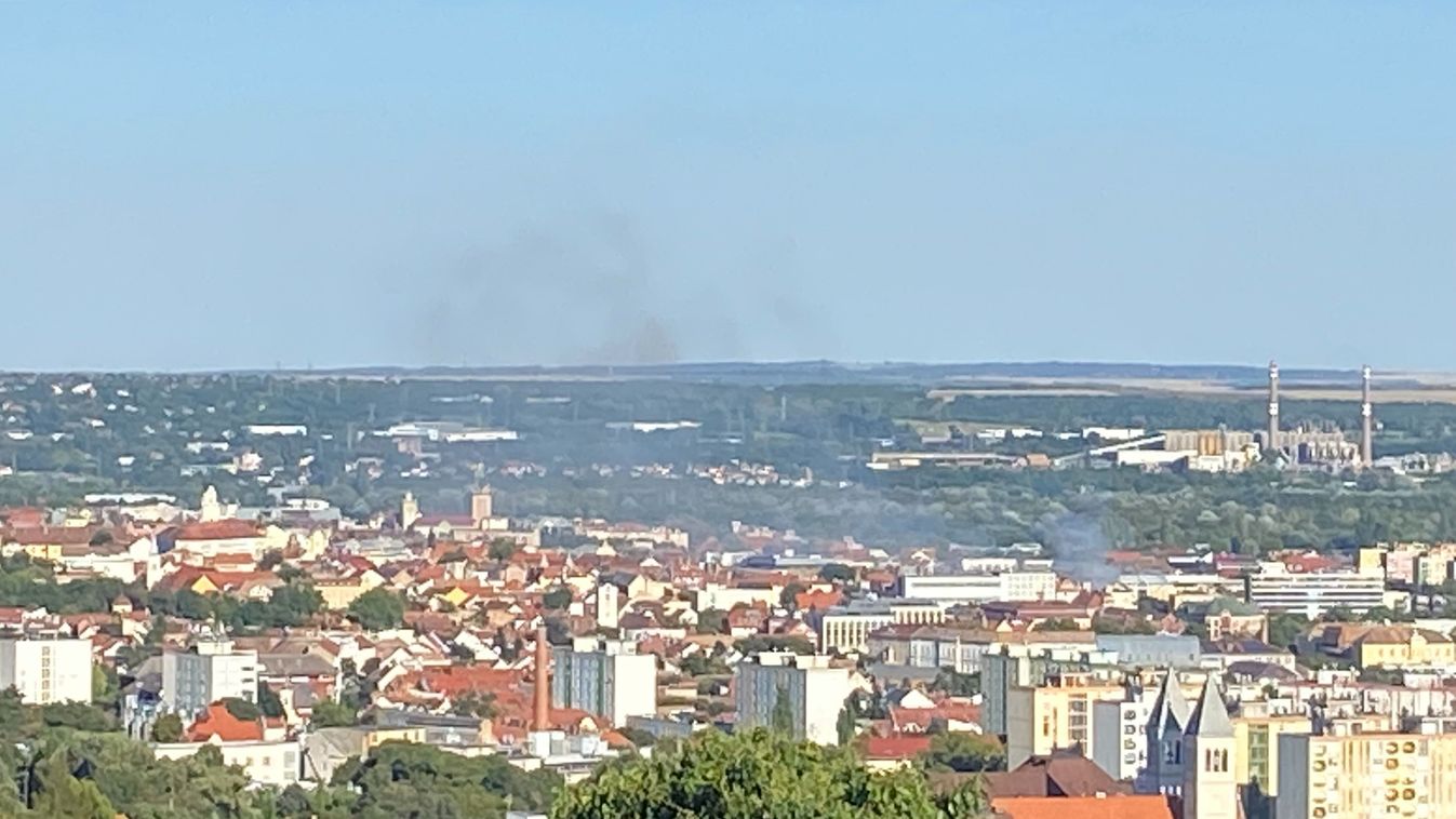 "...a Rákóczi úton tuják és füves terület égett. A pécsi hivatásos tűzoltók hamar eloltották..."