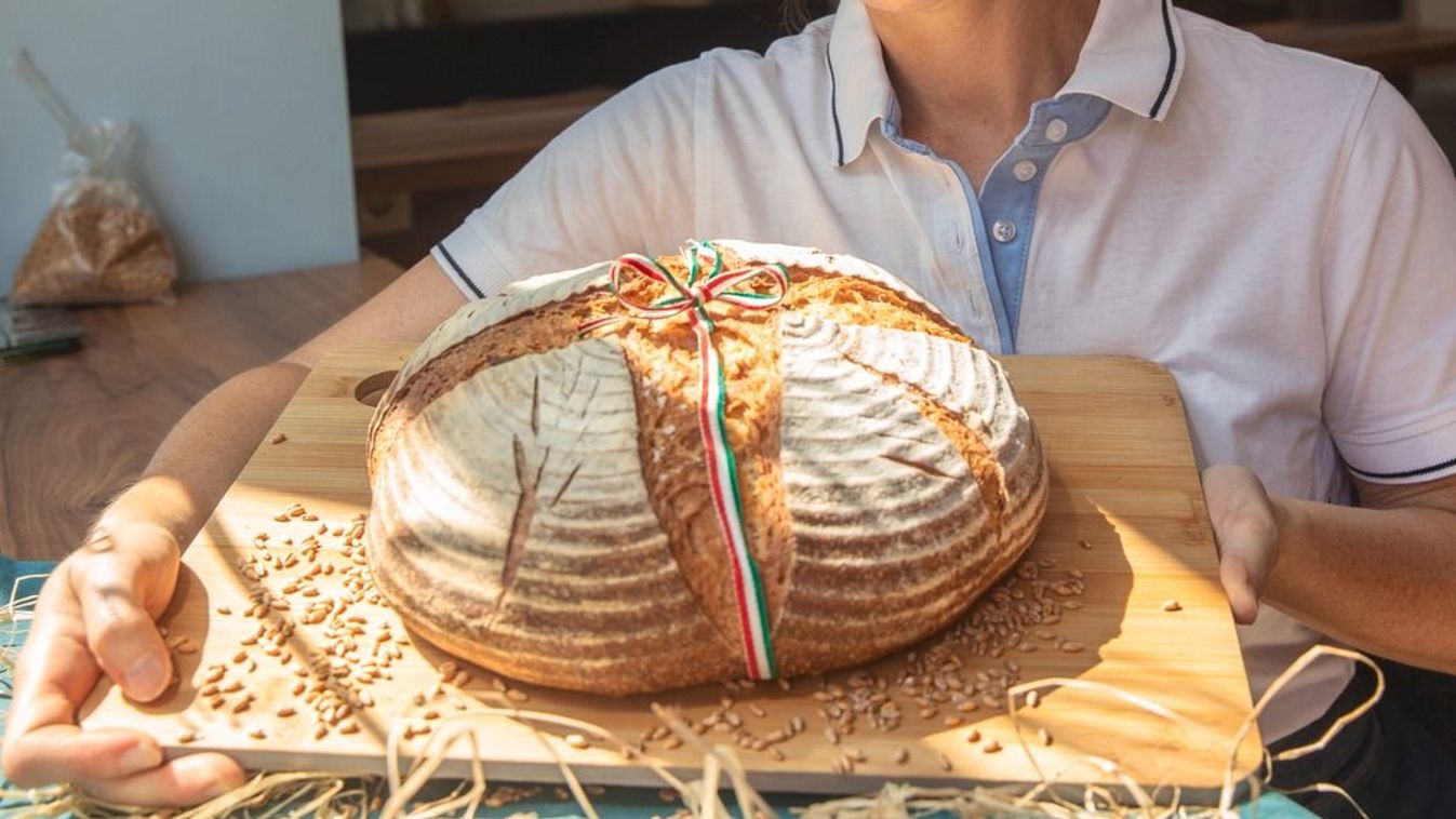 A friss kenyerek és a csupa csokis kakaós csigák hazája Baranya vármegye. Forrás: MW Fotó: FULOP ILDI