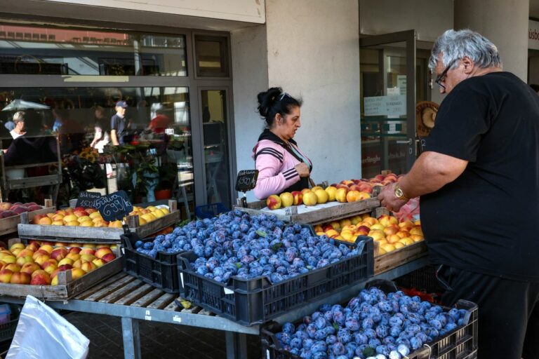 Őszi hangulat volt a szerdai szekszárdi piacon, szilvából, barackból, paprikából dömping volt Fotó: Denes Martonfai / Forrás: Mártonfai Dénes/Tolnai Népújság