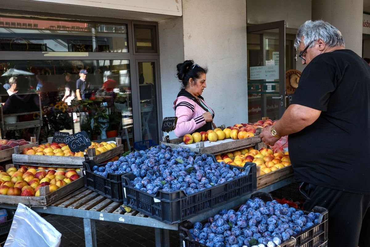 Őszi hangulat volt a szerdai szekszárdi piacon, szilvából, barackból, paprikából dömping volt Fotó: Denes Martonfai / Forrás: Mártonfai Dénes/Tolnai Népújság