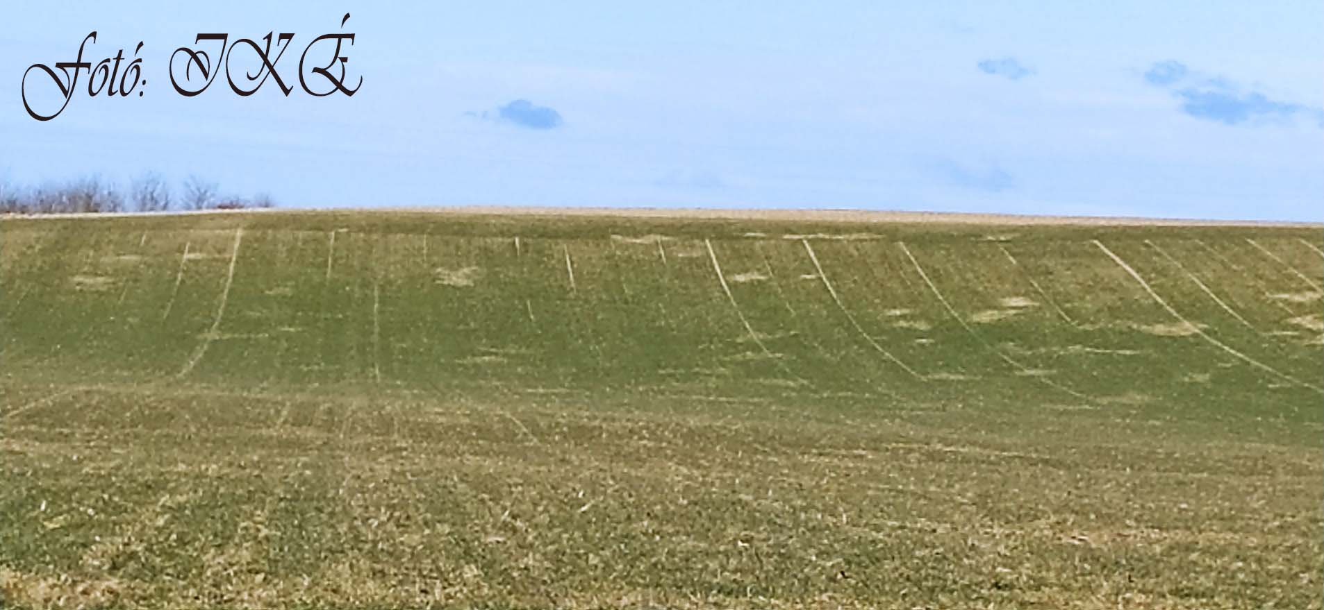 Rittlinger Józsefet, a Nemzeti Agrárgazdasági Kamara baranyai elnökét kérdeztük az egyelőre aggasztó kilátásokról. Döbbenetes prognózist és tényeket hallottunk!
