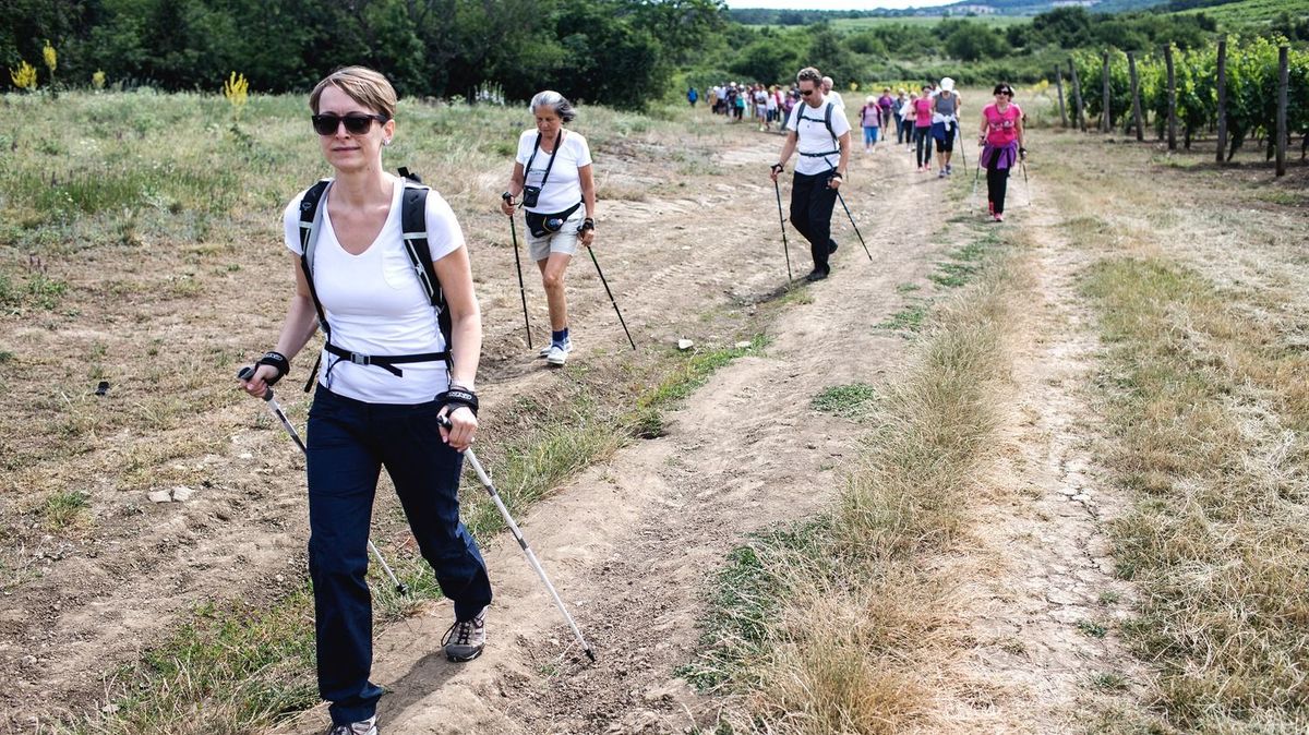 A betegségek elkerülhetők a sétával Fotó: Vegh Laszlo