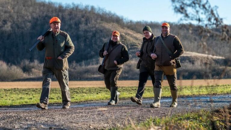 Illusztráció - bama.hu